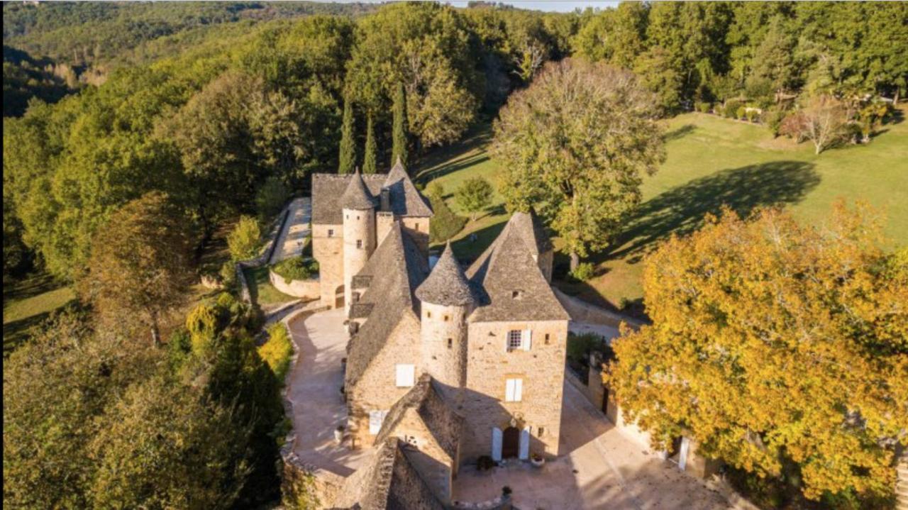 Chateau La Carriere Saint Cyprien Bagian luar foto